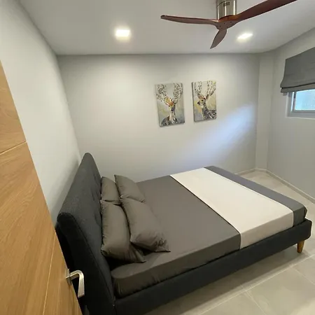 Apartment Apartment Love